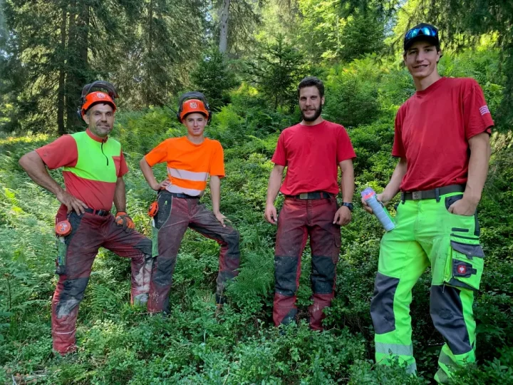 Forsteinsatz Pardiel